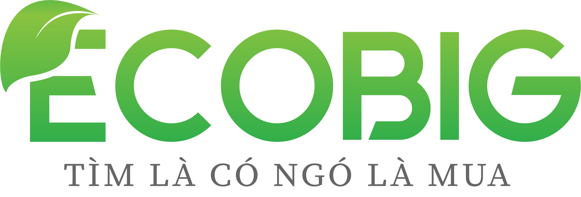 Ecobig – Chuyên trang về vật liệu xây dựng hoàn thiện